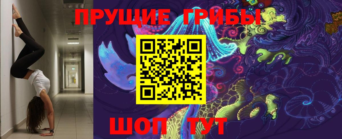 Галлюциногенные грибы MAGIC MUSHROOMS  Вход с VPN  Галлюциногенные грибы Psilocybine cubensis  Королёв 